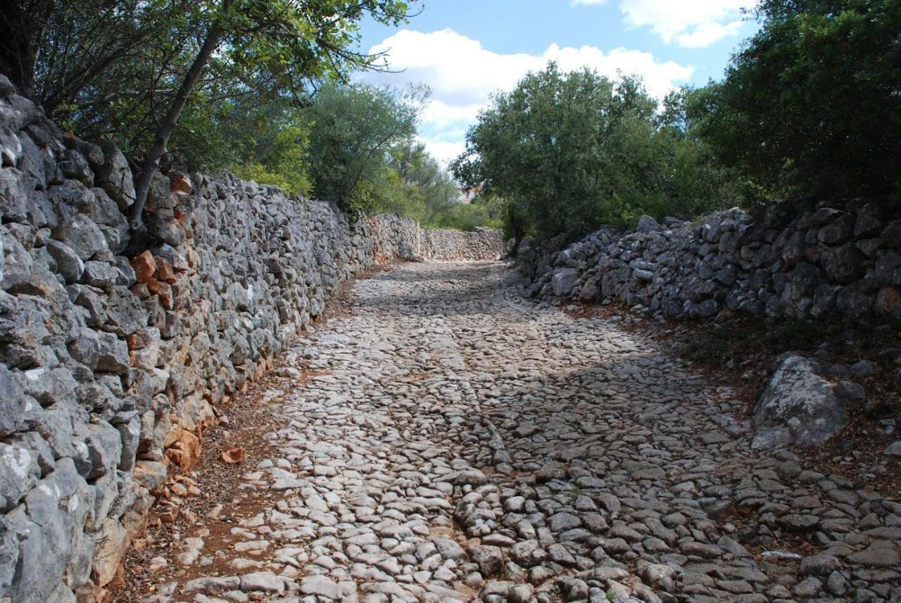 Flat In The Heart Of Algarve Leilighet São Brás de Alportel Eksteriør bilde